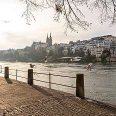 Rheinpromenade im Winter